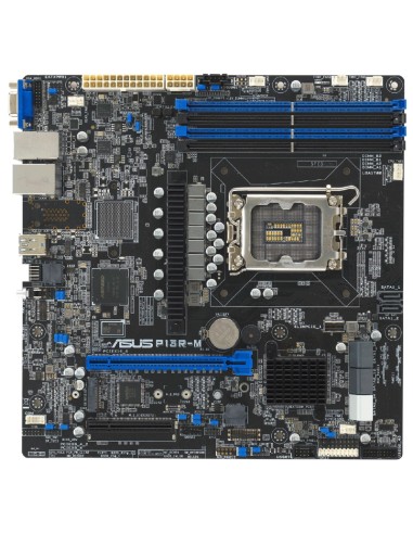 PB S-1700 ASUS P13R-M DDR5 PN: 90SB0C70-M0UAY1...